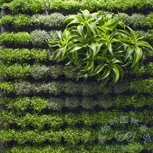 可移動室內垂直綠植墻