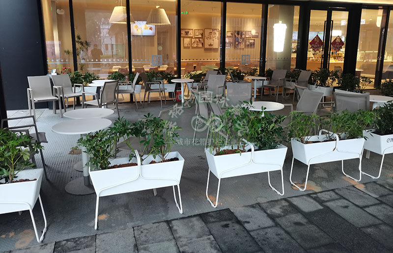 嘉興商業街花箱花架隔斷案例