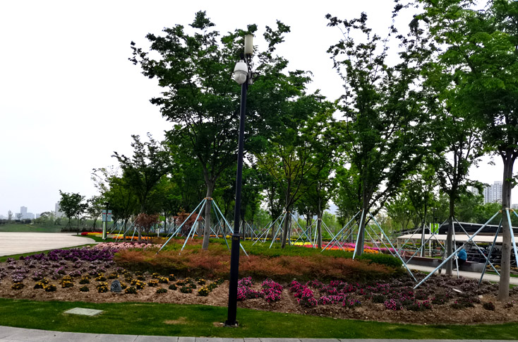 園林景觀綠化養(yǎng)護(hù)分類每月應(yīng)重點(diǎn)注意事項(xiàng)