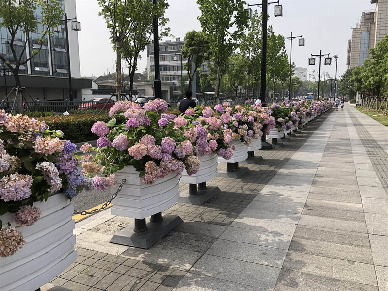 市政pvc花箱應用越來越廣泛了，森格物pvc花箱訂單越來越多