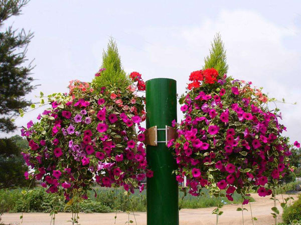 燈桿花盆新型花盆的優點是什么