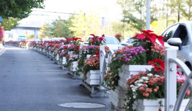 2021進(jìn)博會(huì)綻放在道路、主題景點(diǎn)、花壇花境的園林小品美景