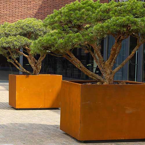 耐候鋼花箱樹池