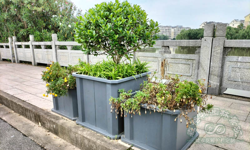 橋梁樹圍花箱案例