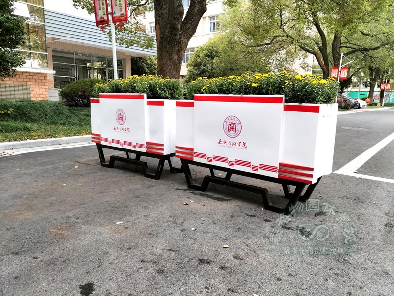 學校花箱定制案例