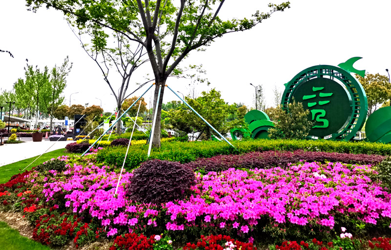 森格物園林草坪養護工作月歷