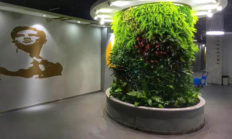 室內植物墻搭配軟裝好看嗎？