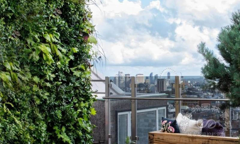 屋頂綠化算綠化率嗎？