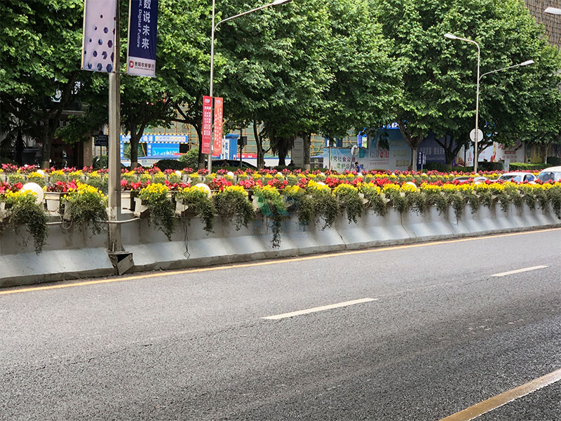 高架橋梁花箱怎么選擇綠植？