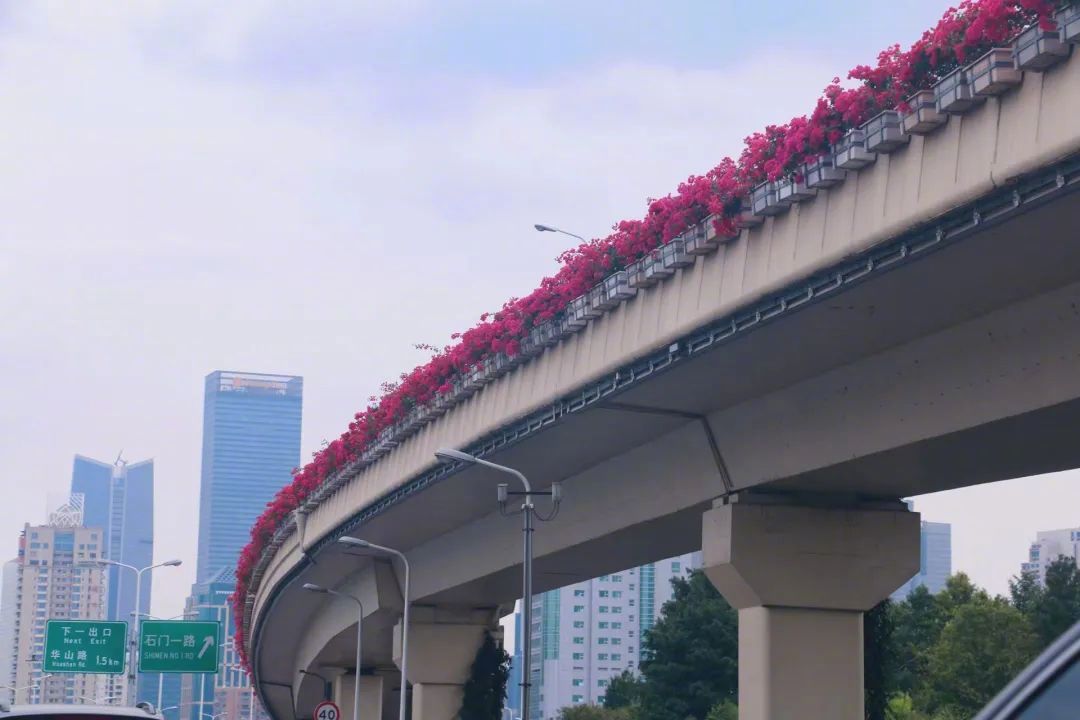 高架綠化應(yīng)該怎樣做！