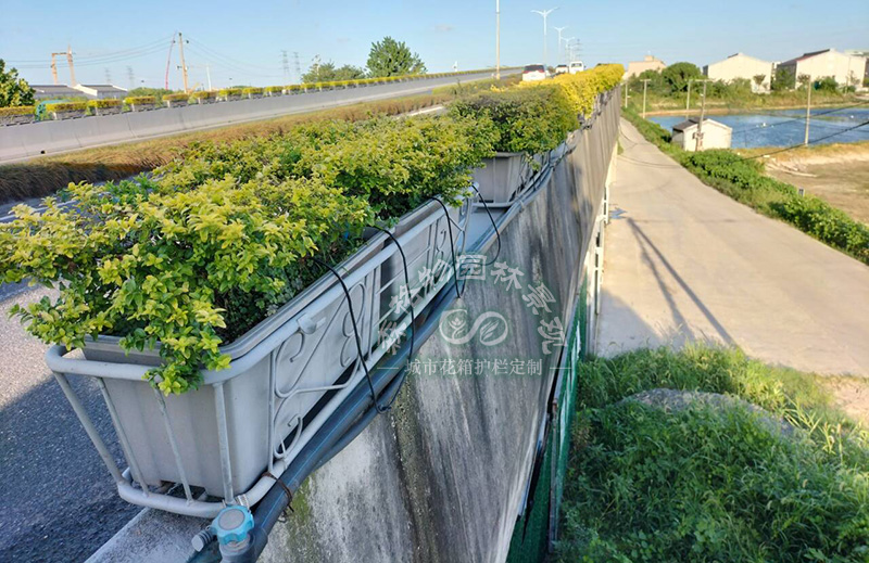 橋梁綠化注意哪些事項