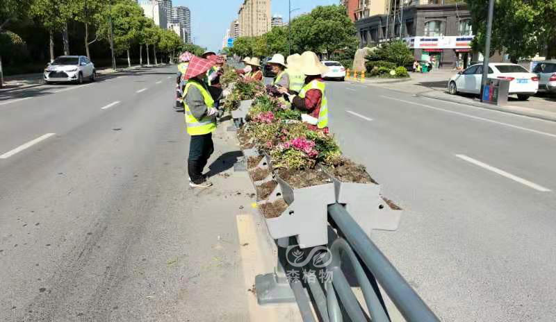市政道路玻璃鋼花箱里放什么泥土好? 市政道路玻璃鋼花箱里放什么泥土好?