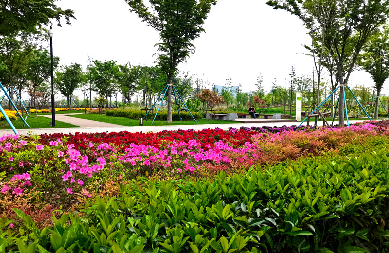 森格物園林草坪養護工作月歷 森格物園林草坪養護工作月歷