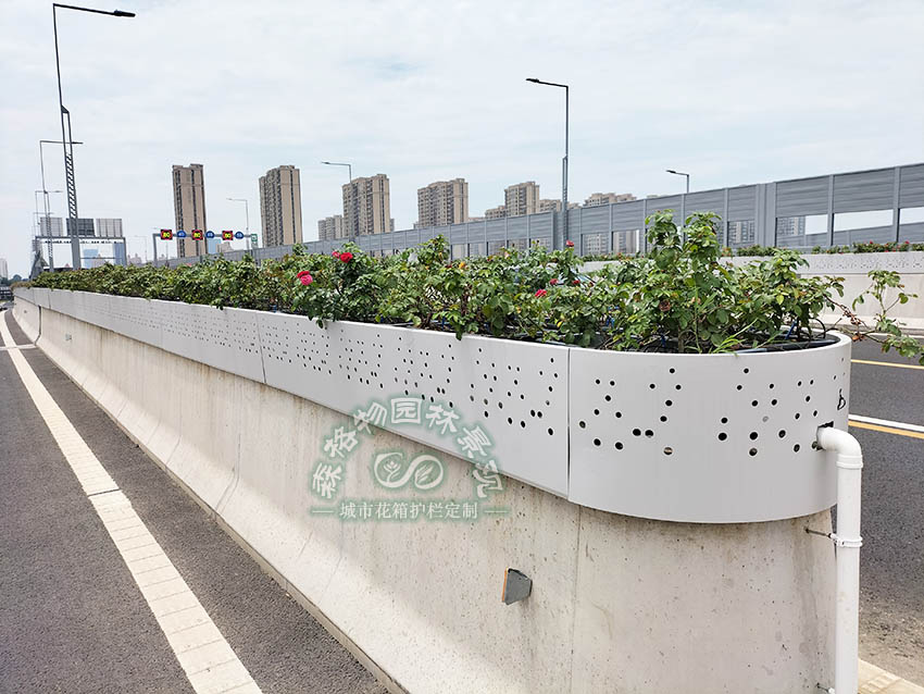 森格物園林景觀助力江蘇蘇州快速路高架綠化升級 森格物園林景觀助力江蘇蘇州快速路高架綠化升級