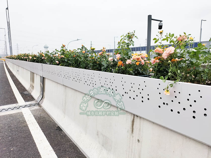 森格物園林景觀助力江蘇蘇州快速路高架綠化升級 森格物園林景觀助力江蘇蘇州快速路高架綠化升級